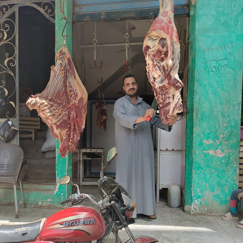 احمد الجزار بقرية اسنيت كفر شكر قليوبية.jpg