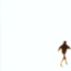 4ac410d24fcd.png