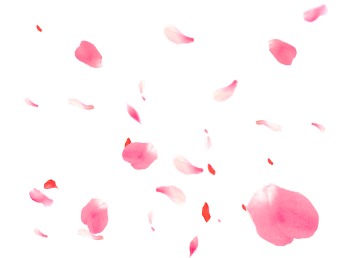 无标题1 20260203135114.png