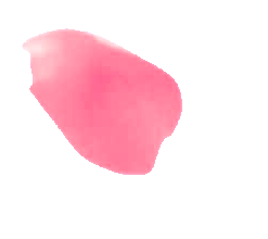 无标题1 20260203140807.png