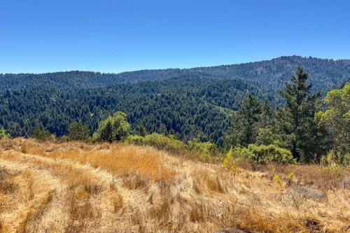 Paul Burrowes - David Lyng Real Estate   5522 Scotts Valley Dr, Scotts Valley, CA 95066, United Stat.jpg