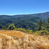 Paul Burrowes - David Lyng Real Estate   5522 Scotts Valley Dr, Scotts Valley, CA 95066, United Stat
