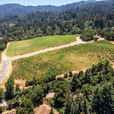 Paul Burrowes - David Lyng Real Estate   5522 Scotts Valley Dr, Scotts Valley, CA 95066, United Stat