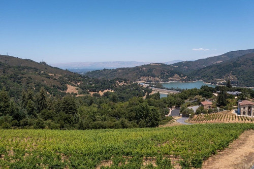 Paul Burrowes - David Lyng Real Estate   5522 Scotts Valley Dr, Scotts Valley, CA 95066, United Stat.jpg