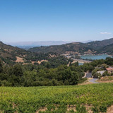 Paul Burrowes - David Lyng Real Estate   5522 Scotts Valley Dr, Scotts Valley, CA 95066, United Stat