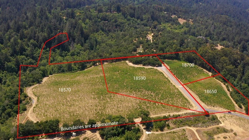 Paul Burrowes - David Lyng Real Estate   5522 Scotts Valley Dr, Scotts Valley, CA 95066, United Stat.jpg