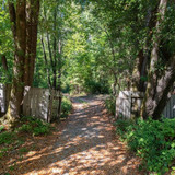 Paul Burrowes - David Lyng Real Estate   5522 Scotts Valley Dr, Scotts Valley, CA 95066, United Stat
