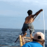 mobey.gif