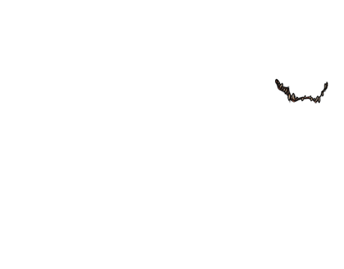 IMG 3940.png