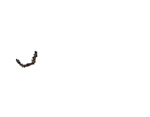 IMG 3939.png