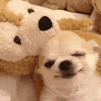 HALwf9jXYAAxo9t.jpg