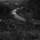DSC 0419