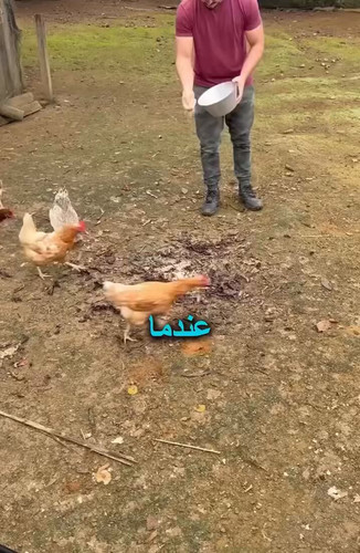 uyu8TGNDUAfWC8 l.jpg