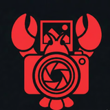 a7600520b5e7.png