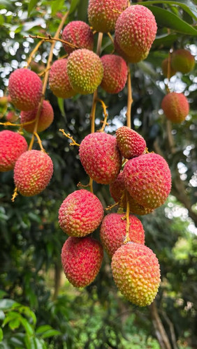 HANggBlbMAAfABN.jpg