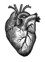 未标题 4fsdfsa.png