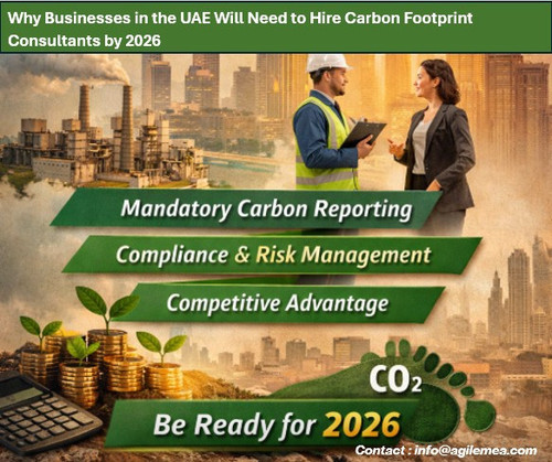 Carbonfootprint.jpg