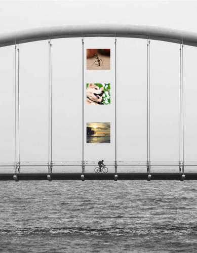 a97ebee61f53.png