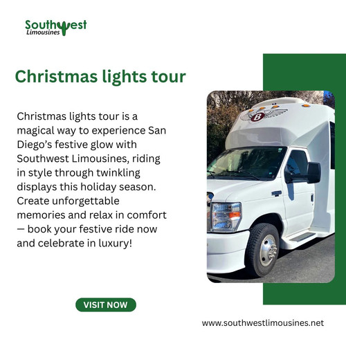 Christmas lights tour.jpg