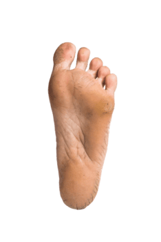 foot or pair of bare feet on isolated background png.png