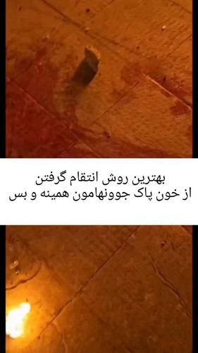  x26KPGiccH04qnI.jpg