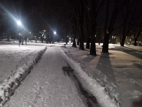 IMG 20260202 194746.jpg