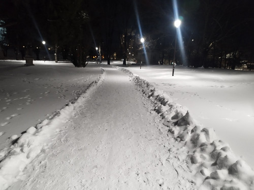 IMG 20260202 194925.jpg