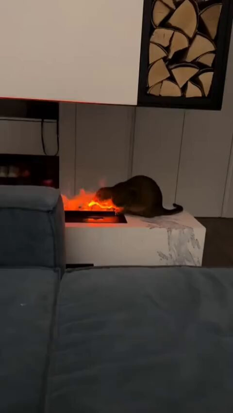 svOrLkwfA8k0jQE .jpg