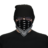 95a6368700d1.png