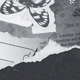 未标题 我认为二.png