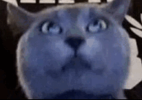 Discord JuJbauet20.png