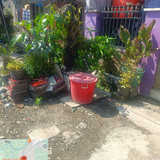 Perumahan Sari Bua Indah