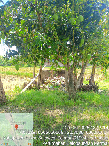 Perumahan Belopa Indah Permai.jpg