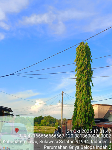 Perumahan Griya Belopa Indah 2.jpg