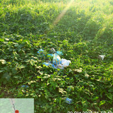 Perumahan Griya Green Utama