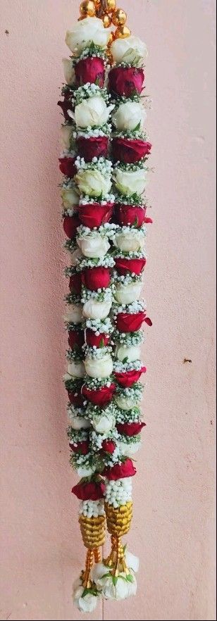 5a8a72d6 c528 4494 bc7e aaf44f5198ba.jpg