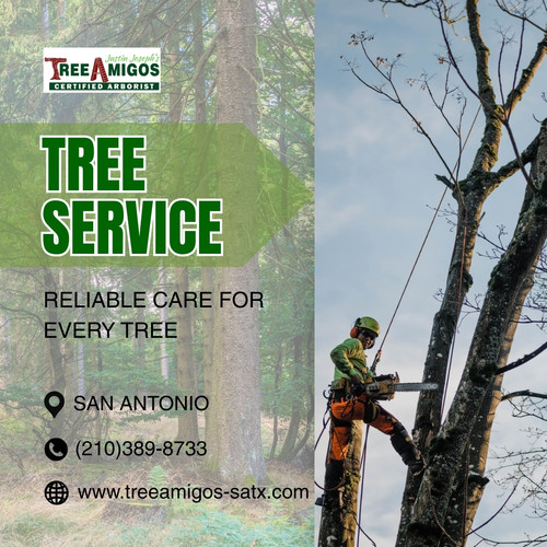 Tree Service In San Antonio.jpg