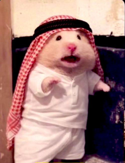HALD3QTaUAAHoNg.jpg
