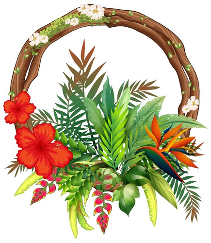 Tropical Floral Arrangements.png