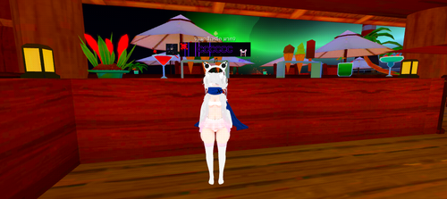 imagen.png
