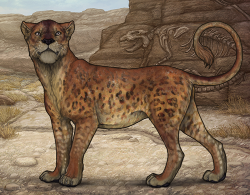 Screenshot 2026 02 02 at 11.17.51 PM.png