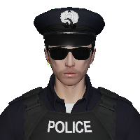 fe9c449ef738.png