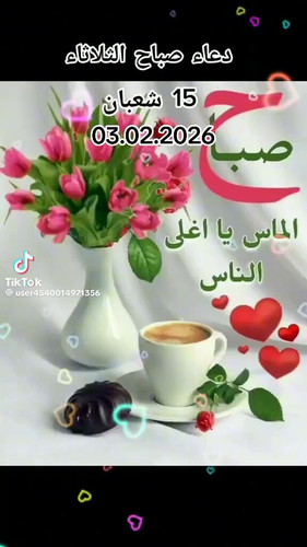 8PbJOksWoHq4g08K.jpg