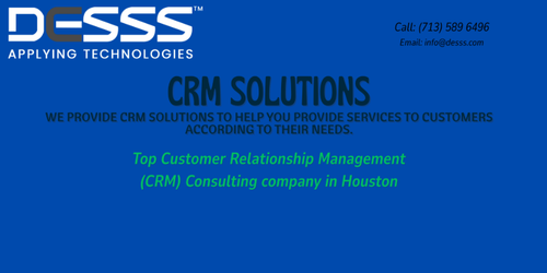 DESSS CRM.png