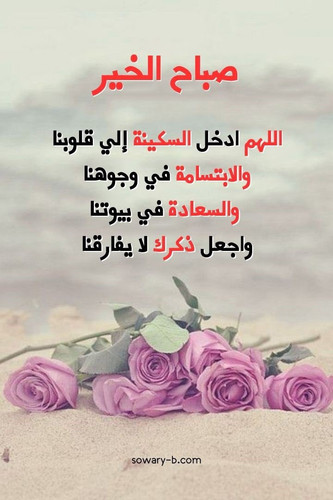 HAMmGM4aoAAR8p6.jpg