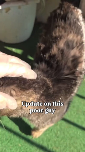 LBSpDi3atXJLoBdH.jpg