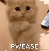 HANiSZ5asAAJ8 O.jpg