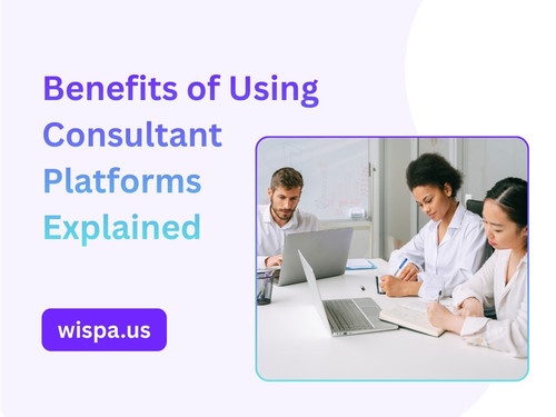 Benefits of Using Consultant Platforms Explained.jpg