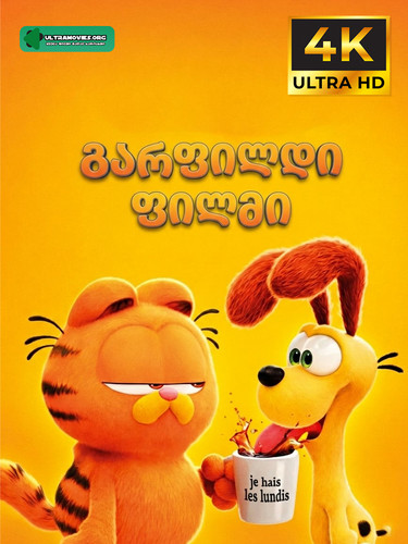 Garfield Movie Cover.jpg