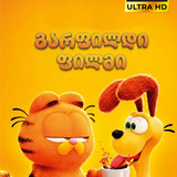 Garfield Movie Cover